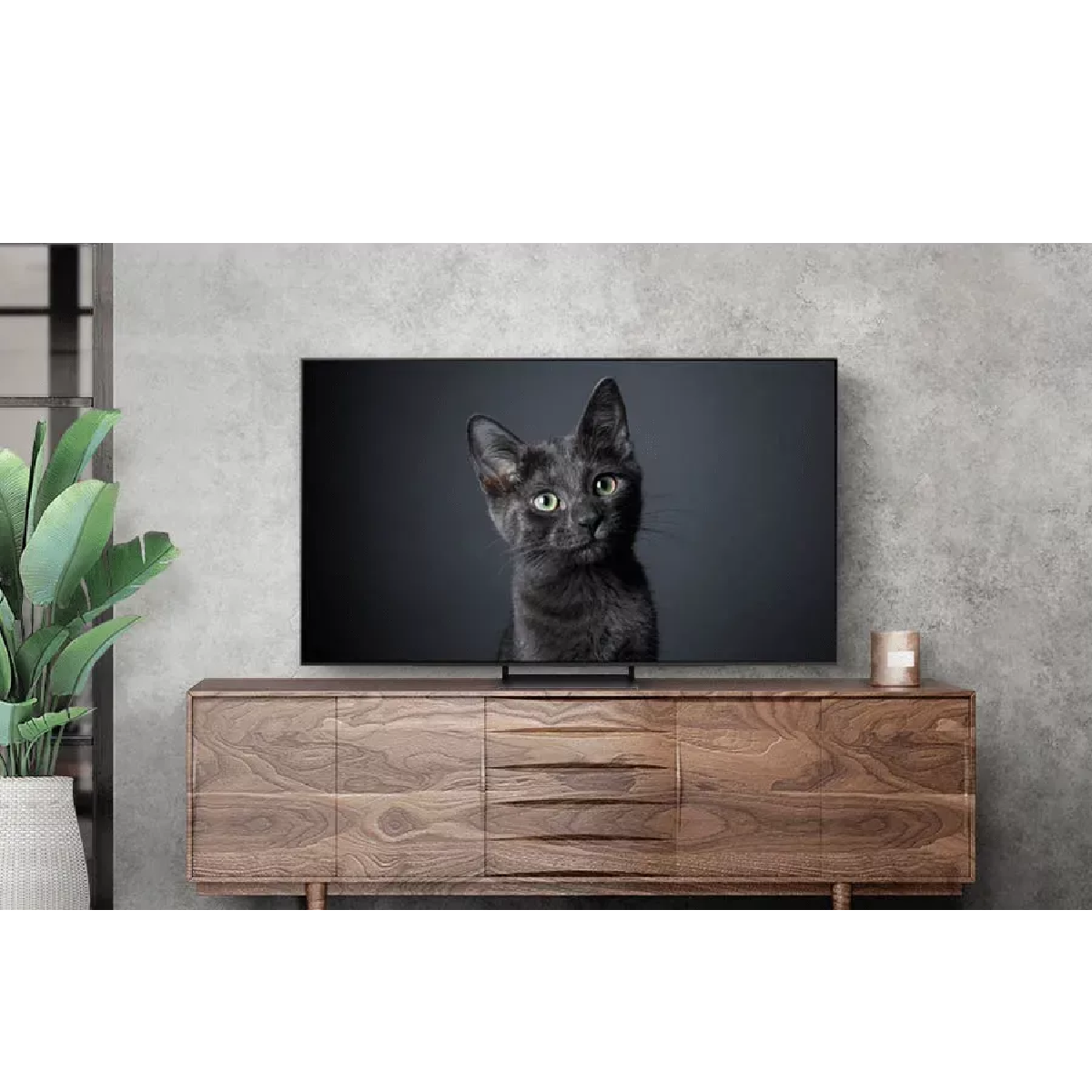 Televizor Samsung OLED QE55S90CAUXRU