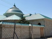 Dam örtükləri